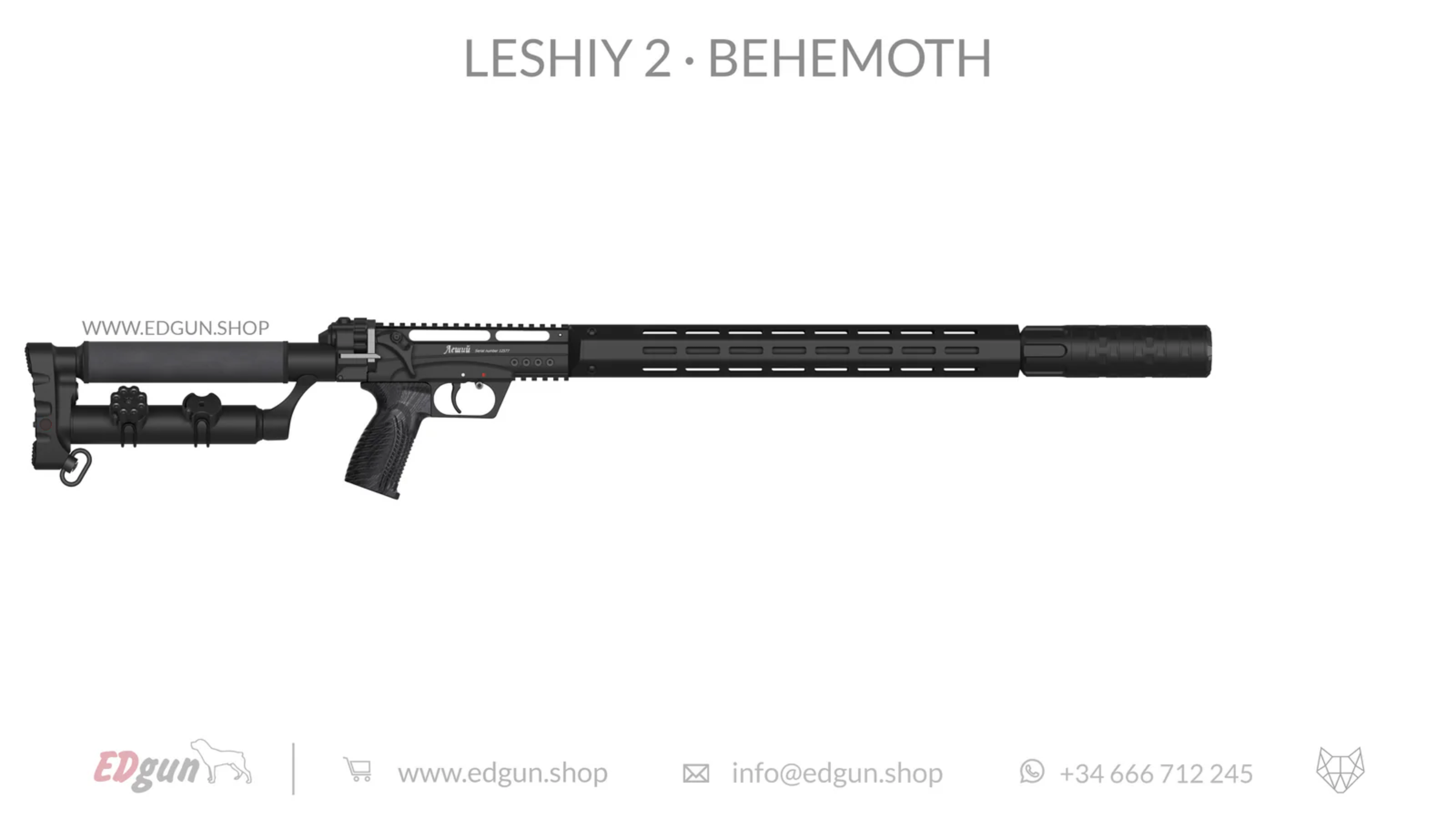 EDgun · Leshiy 2 · Behemoth Reflex · All Black