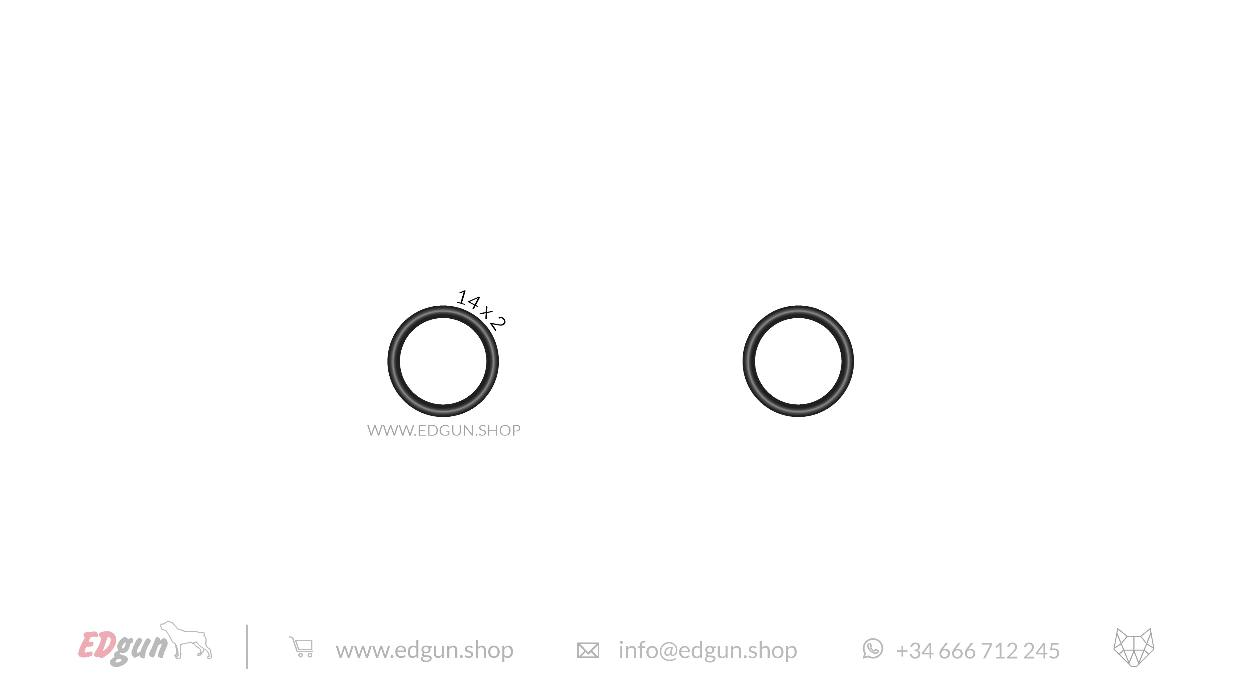 Original O-rings set for Leshiy 2