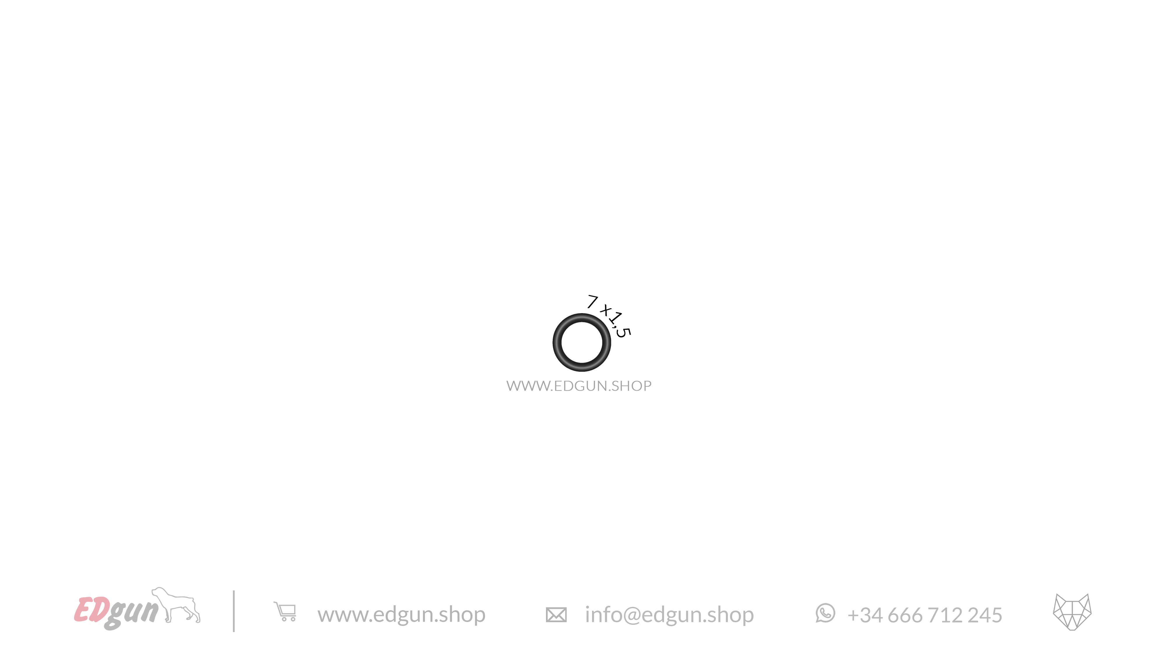 Original O-rings set for Leshiy 2