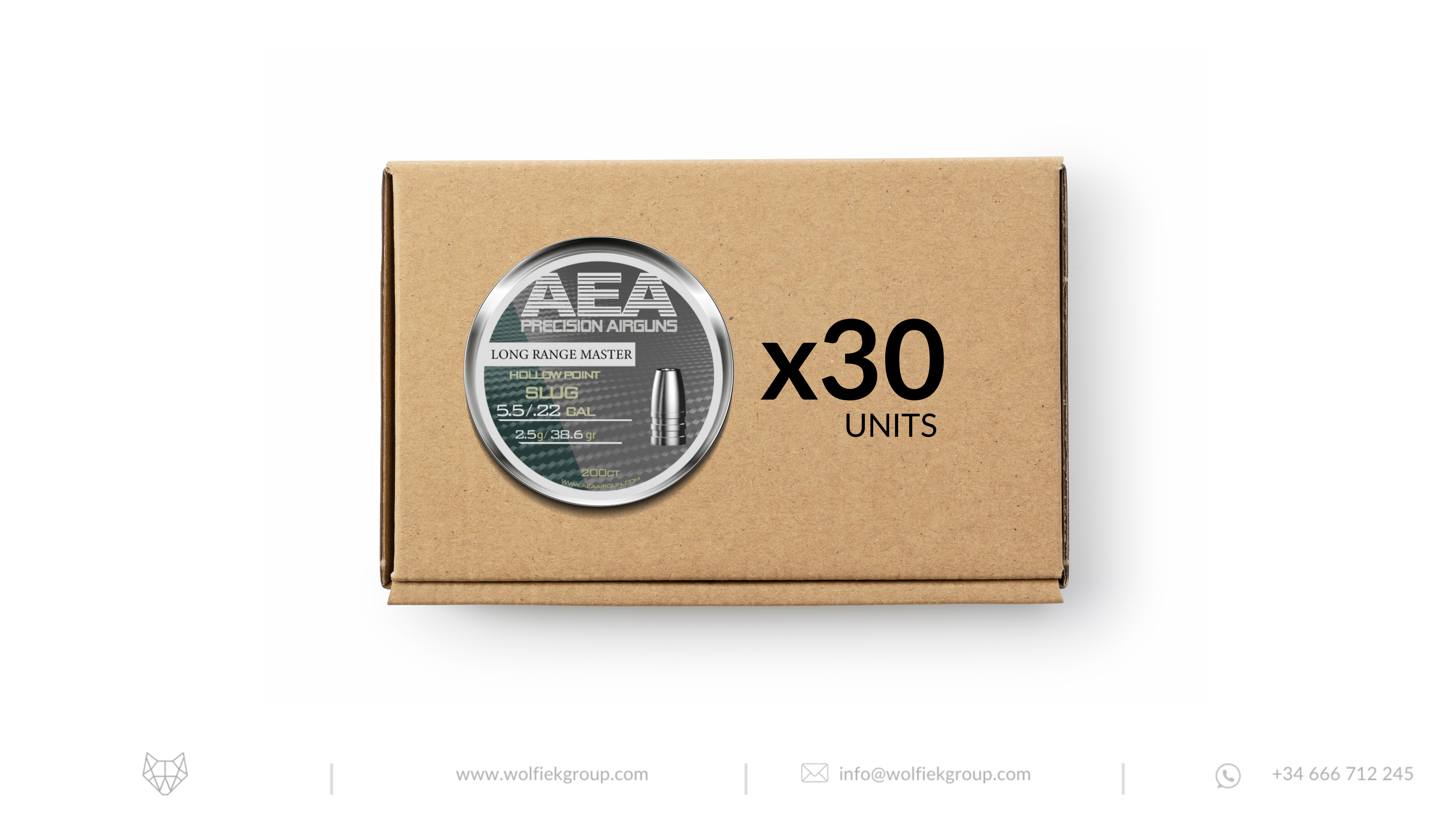 AEA Master Box Long Range Master Hollow Point Slugs - Cal .22 (5.5mm) | 2.5g (38.6gr)