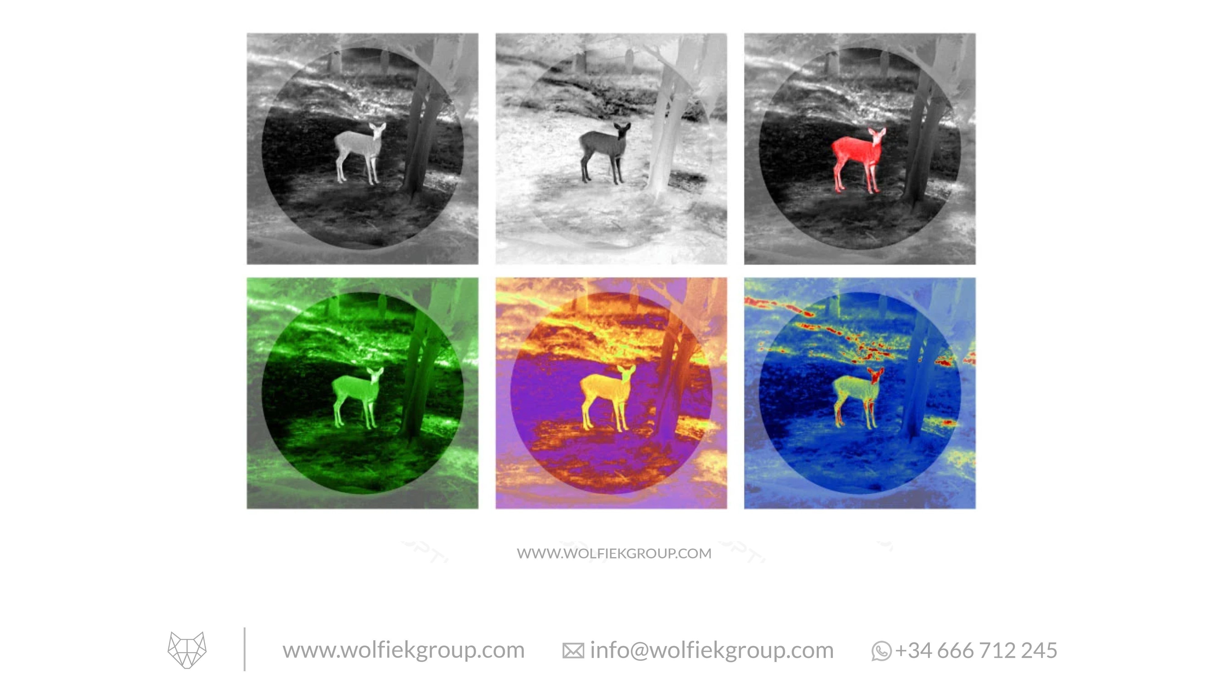 Vector Optics · Owlset RSMX50 2.8-22.4x50