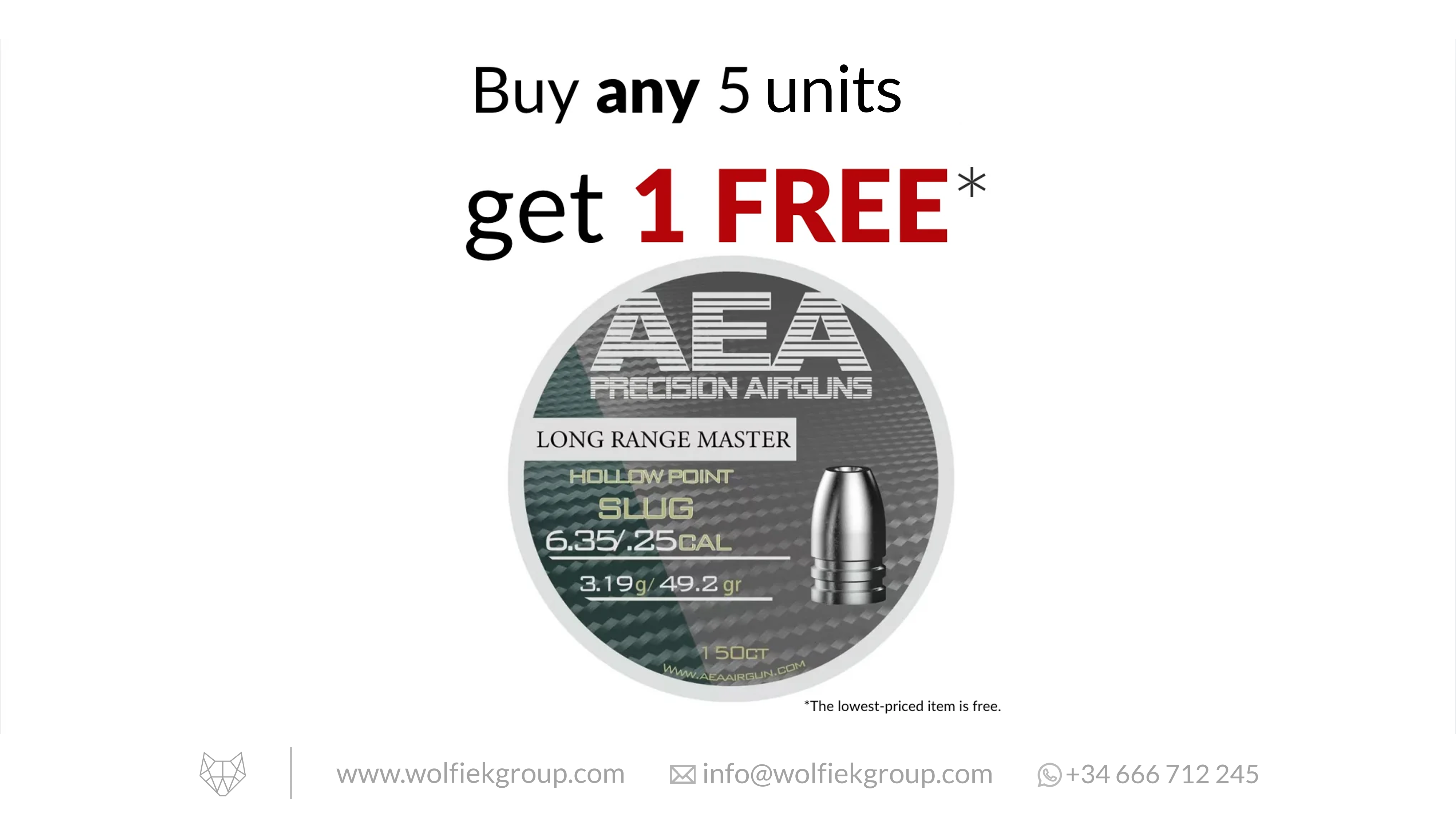 AEA Long Range Master Hollow Point Slugs - Cal .25 (6.35mm) | 3.19g (49.2gr)