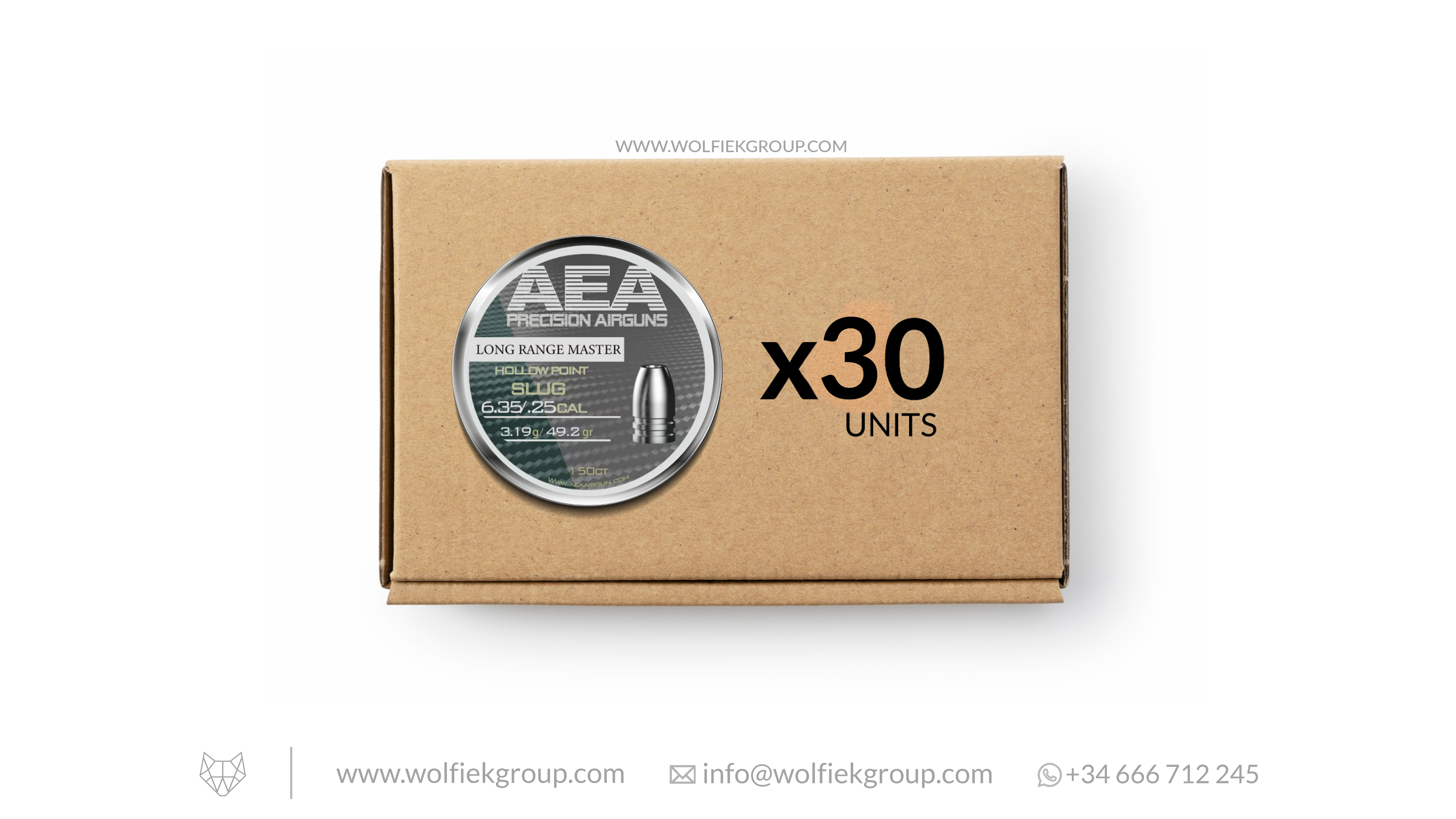 AEA Master Box Long Range Master Hollow Point Slugs - Cal .25 (6.35mm) | 3.19g (49.2gr)