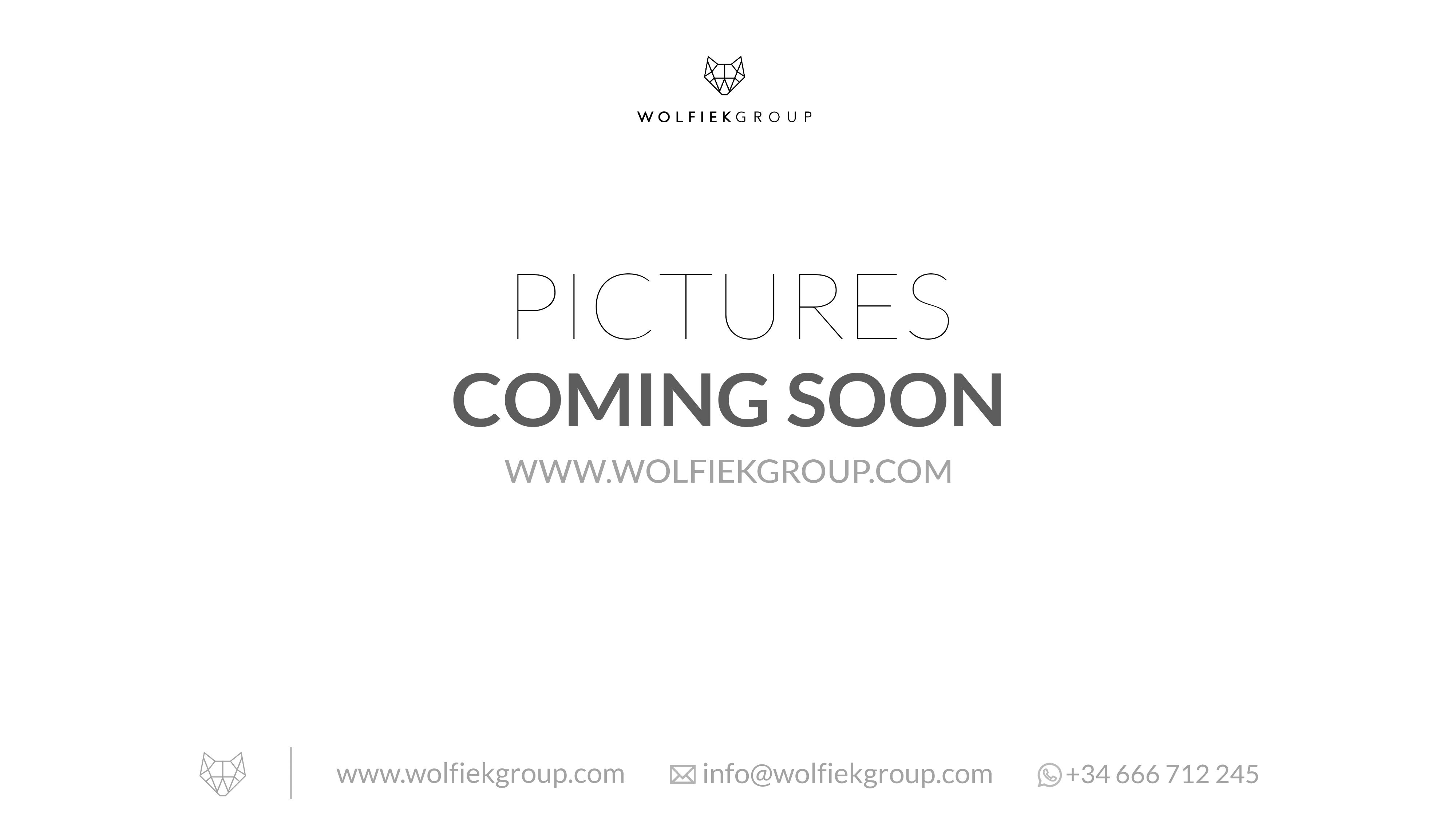 EDgun · Leshiy 2 · Behemoth Reflex