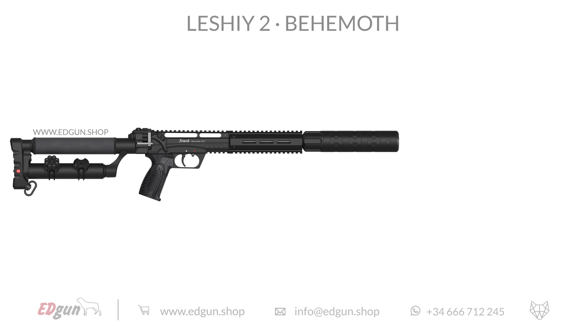 Leshiy 2 · Behemoth Picatinny · All Black