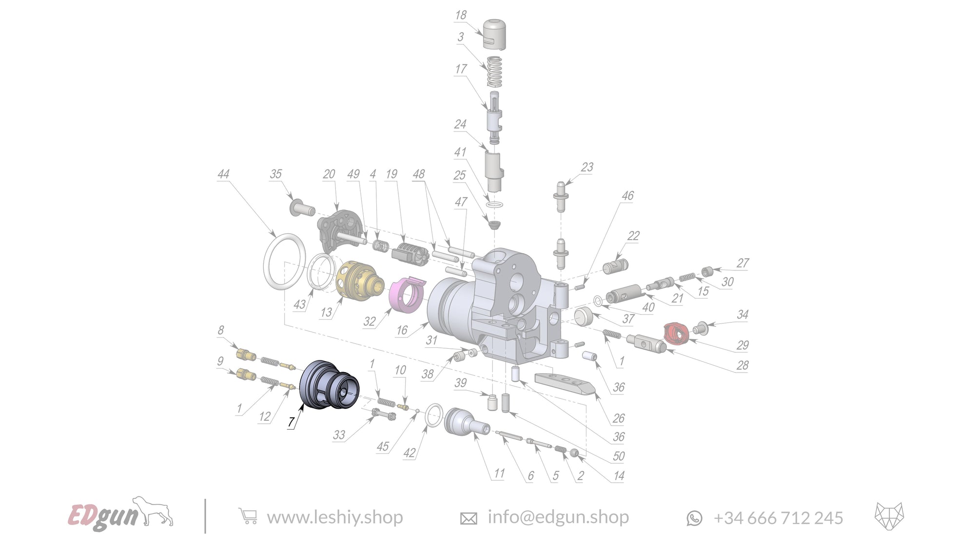 Leshiy 2 New Forward Plug LSA242200 diagram