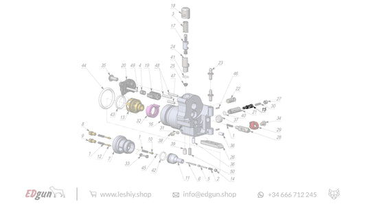 Leshiy 2 New Forward Plug LSA242200 diagram