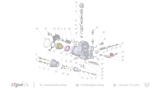 Leshiy 2 New Forward Plug LSA242200 diagram