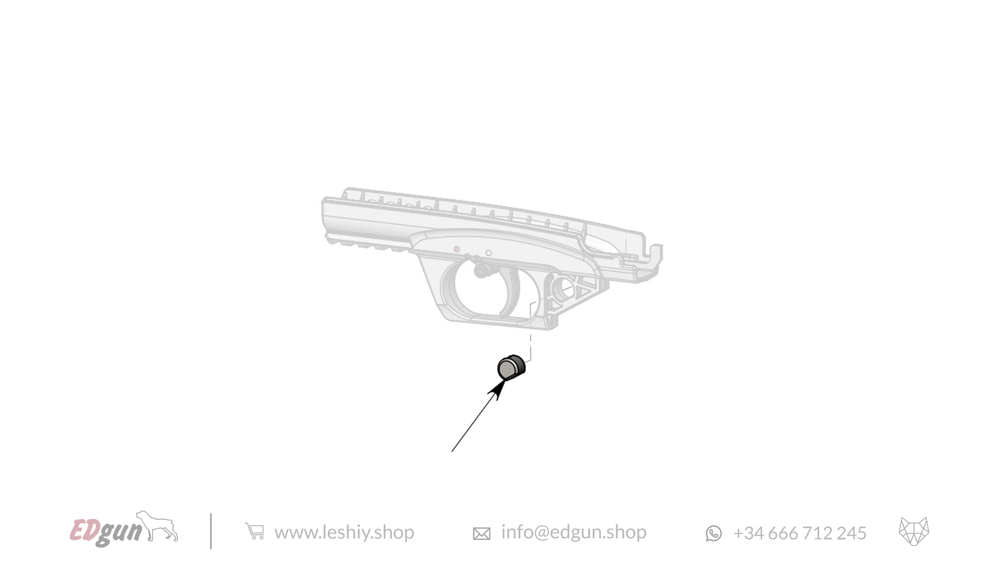 Representation of the insert firing mechanism LSA227004 for Leshiy 2